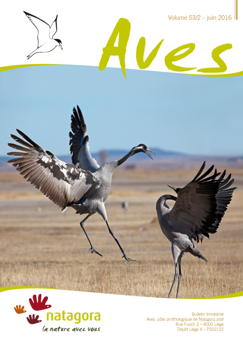 Revue Aves N°53/2