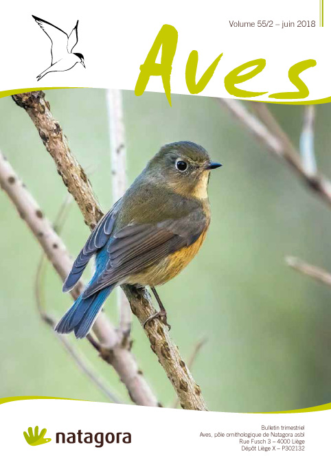 Revue Aves N°55/2