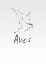 Revue Aves N°2/2