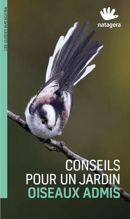 Conseils pour un jardin oiseaux admis