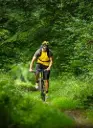 Vallée de la Houille : balade entre Gedinne et Rienne
