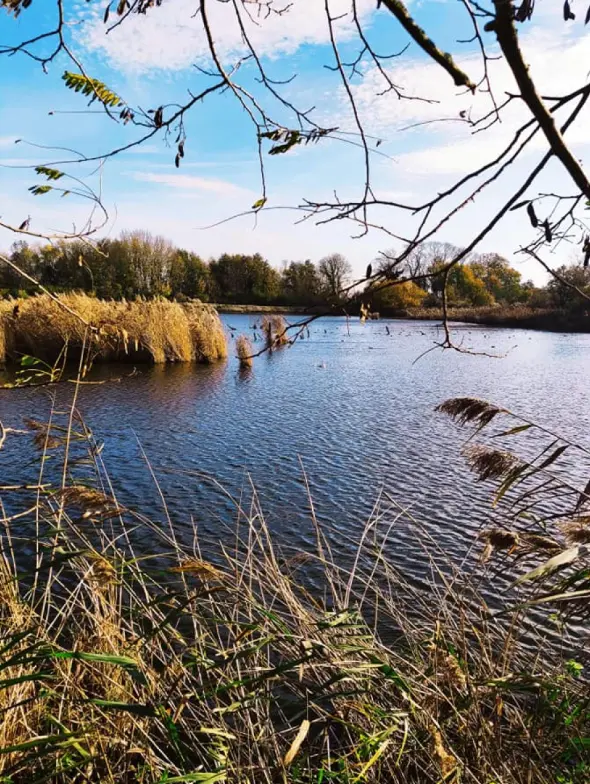 Un paradis pour les oiseaux : balade à Hollogne-sur-Geer