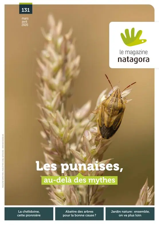 Magazine 131, mars-avril 2026 