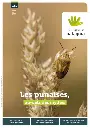 Magazine 131, mars-avril 2026 