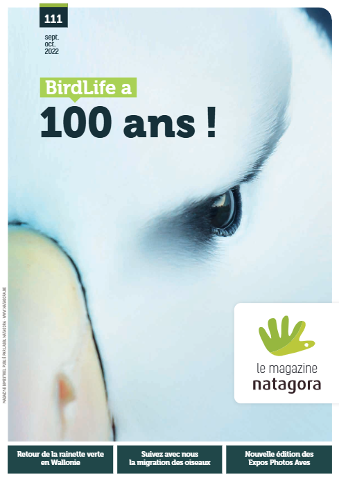 Magazine 111