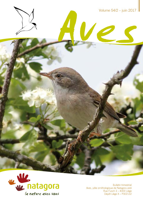 Quand tailler les haies ? Le bénéfice pour les oiseaux nicheurs d’une extension de la période d’interdiction de taille des haies en milieu agricole