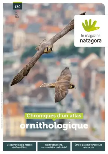 Magazine 130, janvier - février 2026 