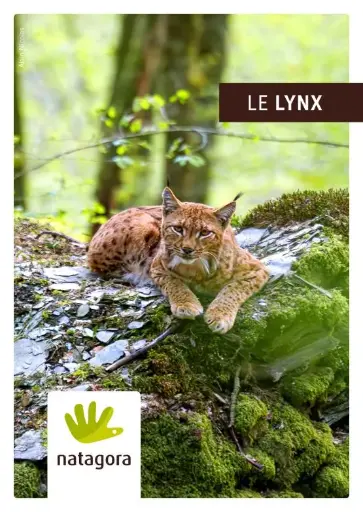 Brochure Espèce : le lynx