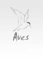 Revue Aves collector 1966