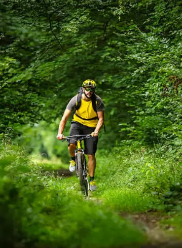 Vallée de la Houille : balade entre Gedinne et Rienne